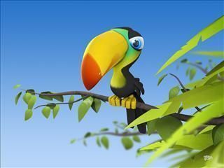 toucan